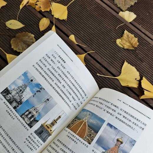 斯拉夫国家中世纪教堂建筑艺术与文化研究 商品图4