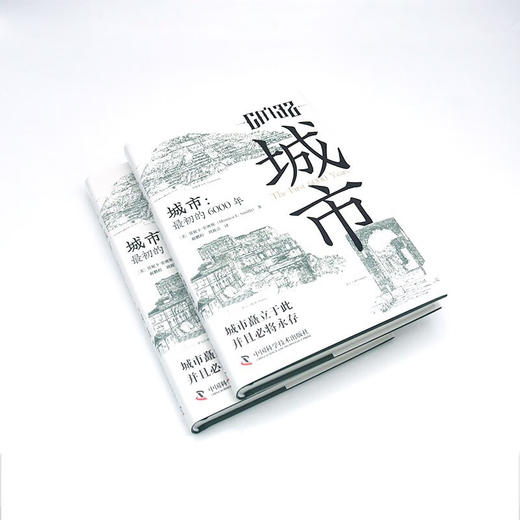 城市：最初的6000年（精装典藏版） 商品图4