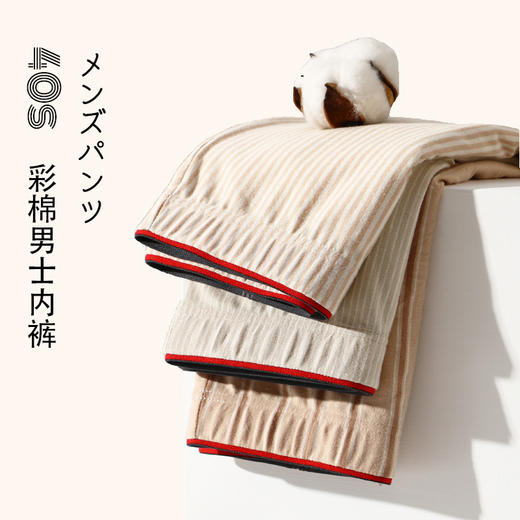 【男士彩棉竖条纹款平角裤】男士条纹纯棉平角内裤柔软亲肤透气四角内裤护肤彩棉 商品图2
