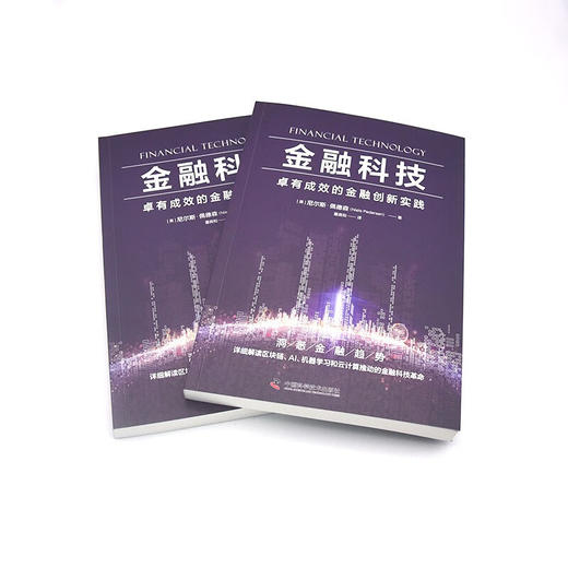 金融科技：卓有成效的金融创新实践 商品图5