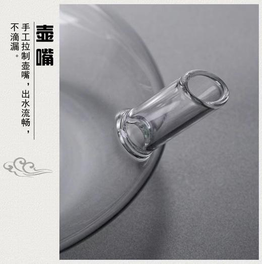 北欧INS风加厚高硼硅玻璃茶壶 商品图3