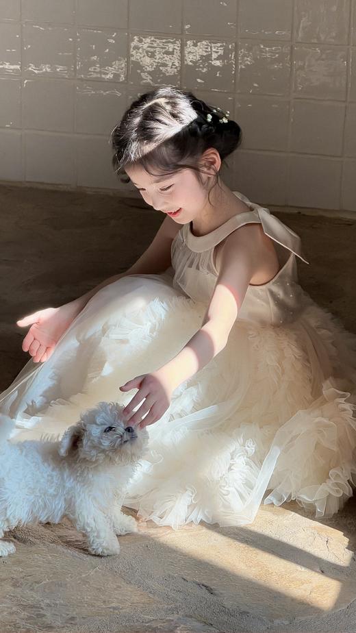 甜心公主裙 商品图4