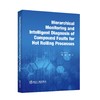 Hierarchical Monitoring and Intelligent Diagnosis of Compound Faults for Hot Rolling Processes 商品缩略图0