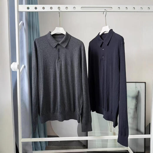 简约大方气质拉满常青款2025年春款翻领长袖polo衫针织衫上衣男款！ 商品图1