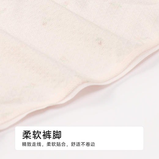 都市丽人舒肤棉纯棉系列棉质提花平角裤LKH5A6 商品图5