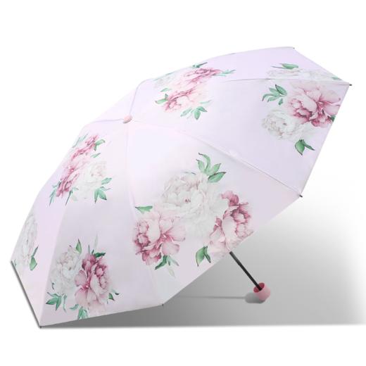 天堂伞三折晴雨伞38066E暄妍 商品图0