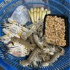 舟山港口高品质海鲜套餐一件代发 商品缩略图0