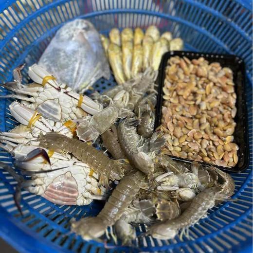 舟山港口高品质海鲜套餐一件代发 商品图0