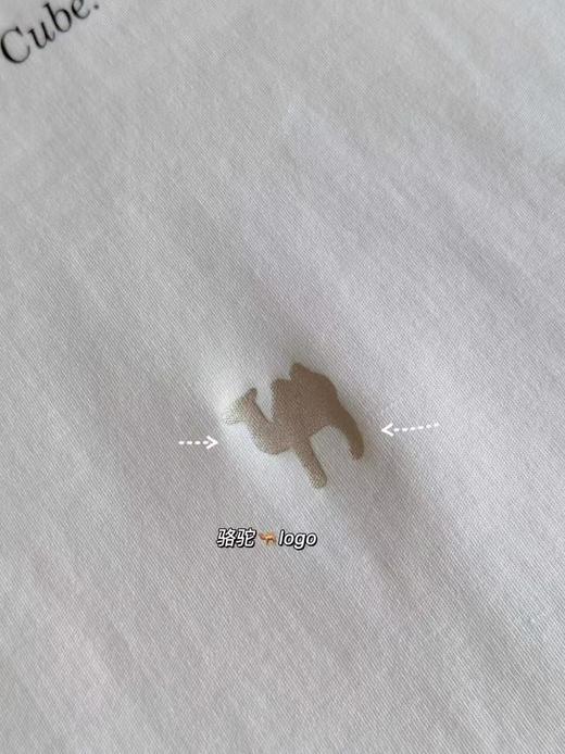 原版原单MAX精致字母T   进口精棉不变形显瘦T恤 商品图14