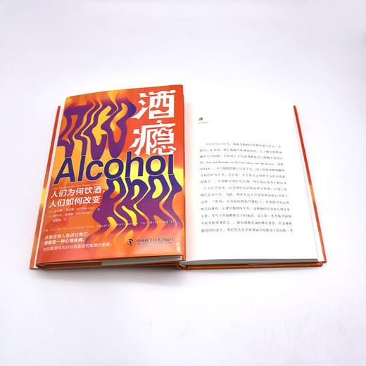 酒瘾：人们为何饮酒，人们如何改变 商品图8