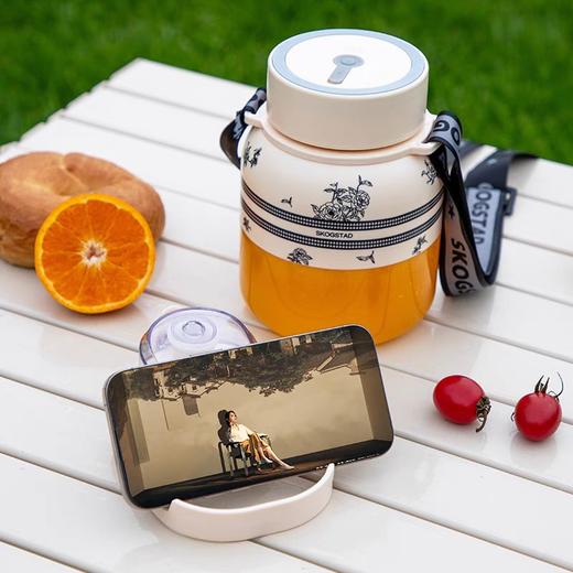 思嘉思达轻奢榨汁机SKD-Z0173 商品图1