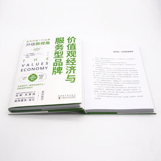 价值观经济与服务型品牌：变化环境下的品牌升级新视角 商品图9