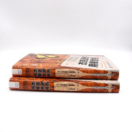 杰克逊市用餐世相：揭示现代美国南方黑人的社会困境 《扫地出门》作者马修·德斯蒙德推荐 商品图5