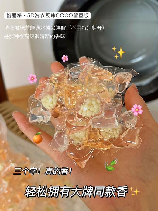 【特大羊毛❗亏本清仓💥】💰19.9抢1桶到手140颗【格丽净5D洗衣凝珠】🔍央视CCTV1展播品牌 ⚠️商场¥39一小桶仅65颗❌ 商品图1