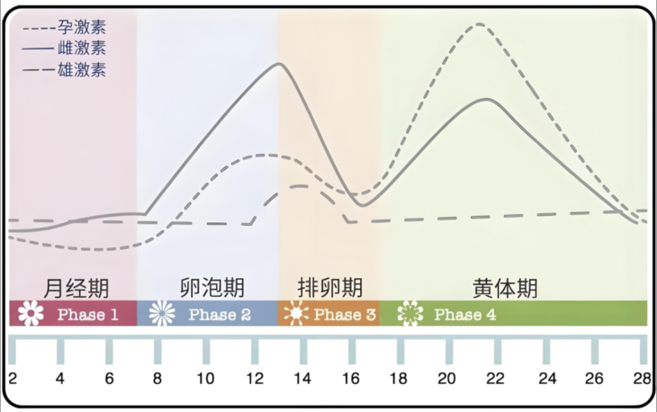 截屏2025-02-18 下午8.48.13.png