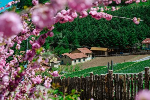 5月9日延边苹果梨花海，长白山天池瀑布峡谷、鸭绿江中朝边境8天摄影团 商品图14