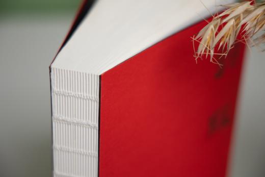 《诗经》古义复原版（全2册），注音+题解+原文+注释+珍贵古图 商品图6