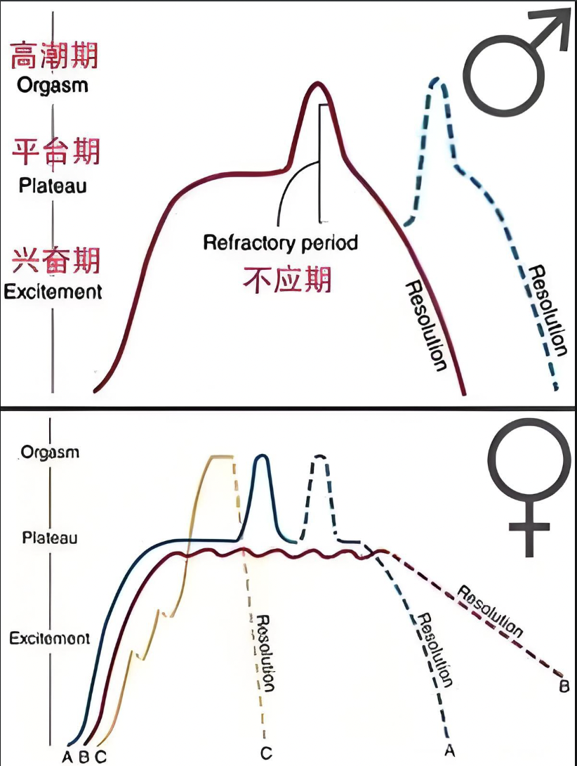 截屏2025-03-11 下午8.41.11.png