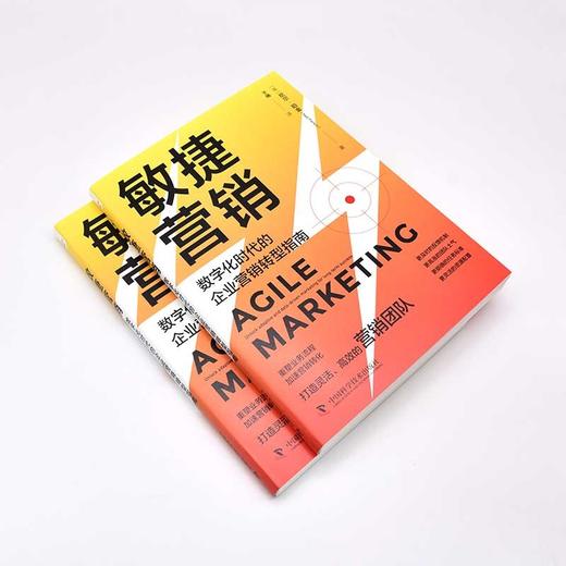 敏捷营销：数字化时代的企业营销转型指南 商品图4