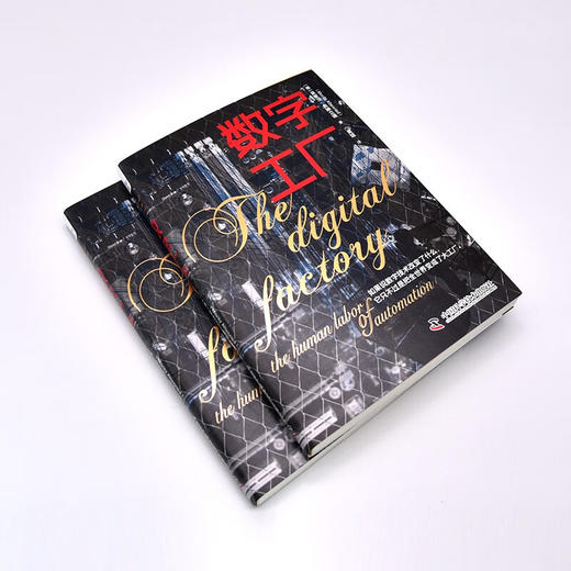 数字工厂：展现数字化时代下真正的劳动场景，探究劳动形式的变与不变 商品图4