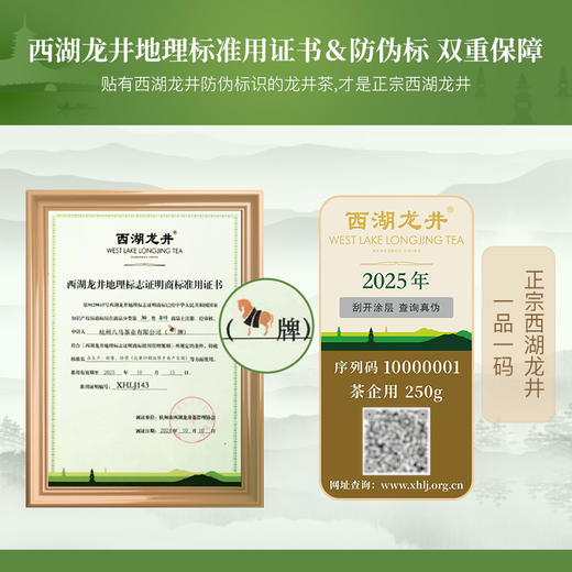 【2025年春茶】八马茶业 | 绿茶有机系列·明前龙井50克 商品图6