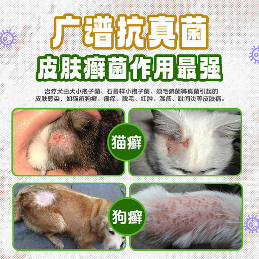 巴士宠盐酸特比萘芬喷剂100ml 皮肤真菌感染猫癣 线下专供【包装更新发新包装】 商品图2