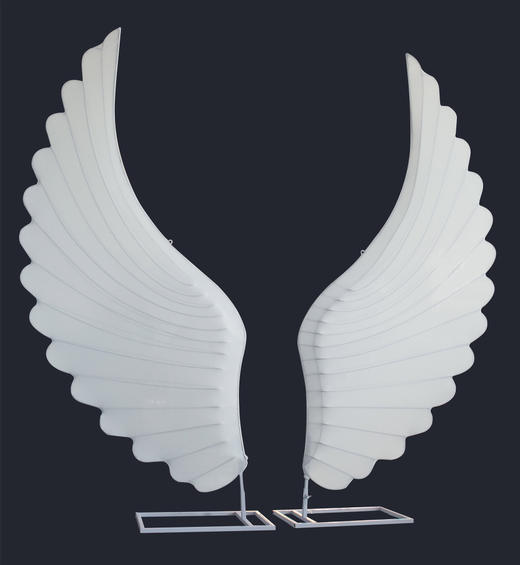 天使翅膀背景（运费自理） 商品图0