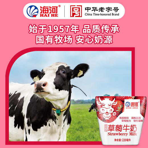 海河牛角包草莓味牛奶220ml*20 商品图4