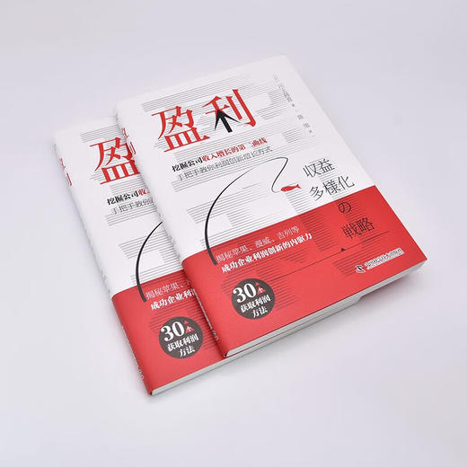 盈利：一本书讲透如何实现企业收益多样化 商品图5