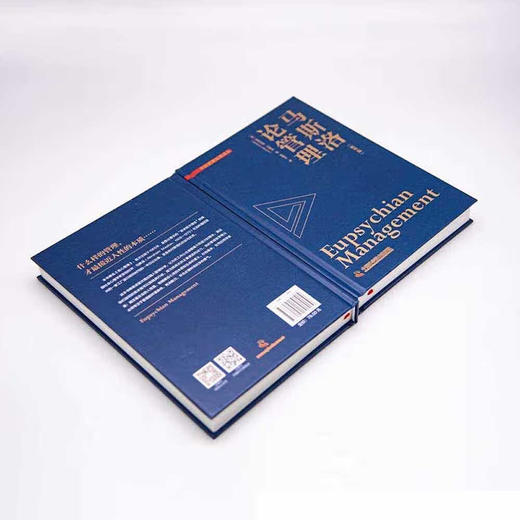 马斯洛论管理 马斯洛基于其需求层次理论 参透人心的管理学界影响力之作 商品图5