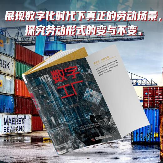 数字工厂：展现数字化时代下真正的劳动场景，探究劳动形式的变与不变 商品图2