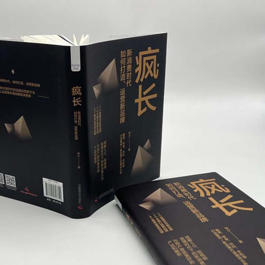 疯长 : 新消费时代，如何打造、运营新品牌（精装典藏版） 商品图4