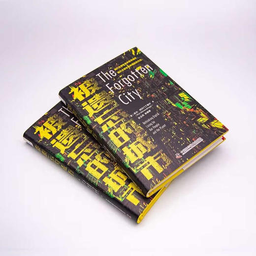 被遗忘的城市：指明未来城市发展的道路（精装典藏版） 商品图2