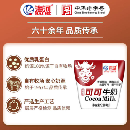 海河牛角包可可味牛奶220ml*20 商品图1