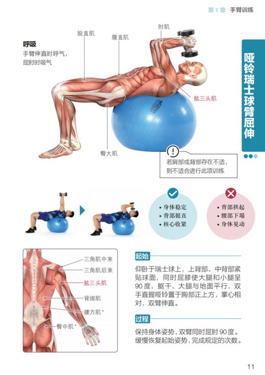 “人体运动彩色解剖图谱”系列（全3册）：《健身房训练彩色图谱》《力量训练彩色图谱》《无器械训练彩色图谱》 商品图12
