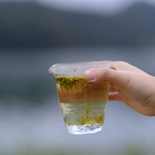 【爱茶人必抢魏老师金奖黄芽，蒙顶魏氏非遗手工黄芽！魏久淞亲制，一茶难求】四炒四包，芽条匀整  色泽嫩黄  芽毫显露  花香幽长  汤色黄亮透碧  滋味鲜爽 商品图12