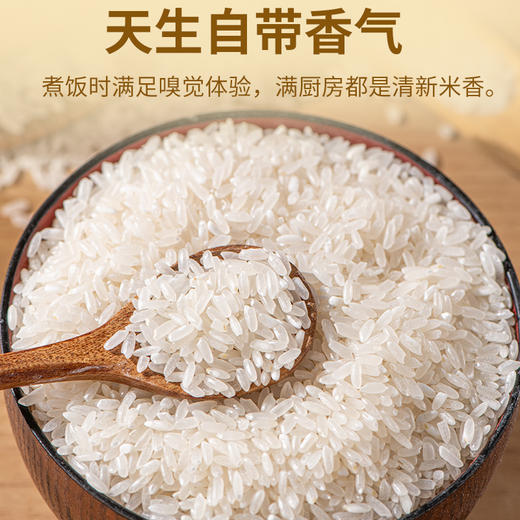 北京卫视养生厨房杂志推荐 稻花派对五常大米 当季新米 优选东北黄金水稻种植带 五常专属稻种 2.5kg 商品图1