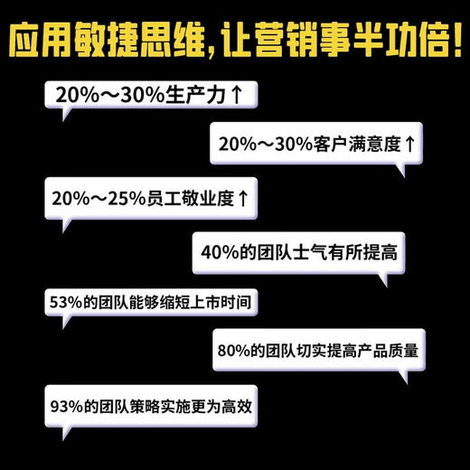 敏捷营销：数字化时代的企业营销转型指南 商品图2