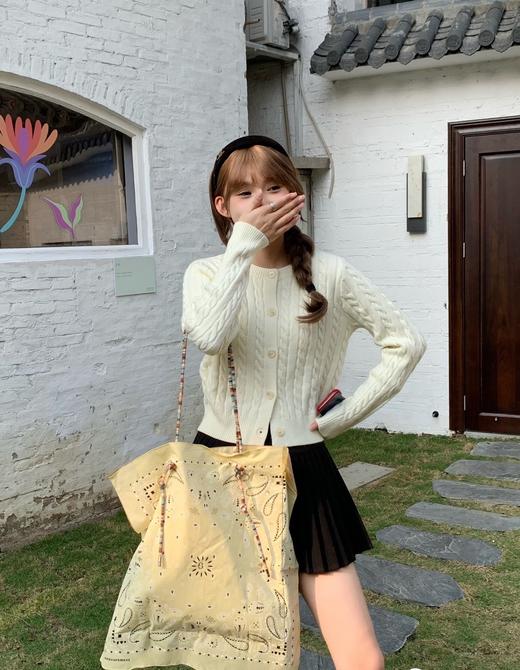 爱马仕丝巾背在身上❗❗【低预算背明星同款丝巾包】柔软轻便可折叠丝巾大包包❗ 商品图3