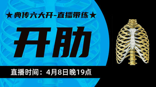 【4月8】典传六大开直播带练（开肋） 商品图0