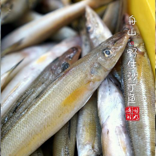 【闹妈海鲜】【热气】舟山黄沙丁鱼 各种规格 按斤卖 商品图3