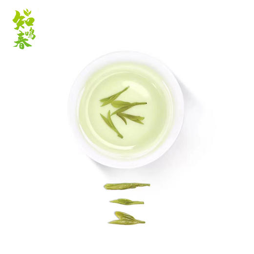【原产地直采】明前特级龙井茶 2025新茶 正宗杭州头采绿茶 畅饮装75g/礼盒装200g【下单即赠试饮装2包】 商品图7