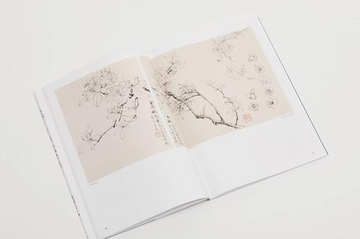 《大师课堂：陆抑非白描写生画稿》张渊编著 陆抑非 绘 商品图7