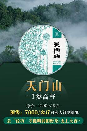 【2025天门山】天门山高杆古树，比肩薄荷塘！易武新贵！