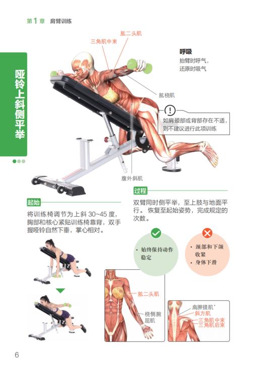 “人体运动彩色解剖图谱”系列（全3册）：《健身房训练彩色图谱》《力量训练彩色图谱》《无器械训练彩色图谱》 商品图11