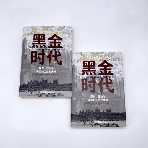 黑金时代：煤炭、政治与美国的工业化抉择（精装典藏版） 商品图4