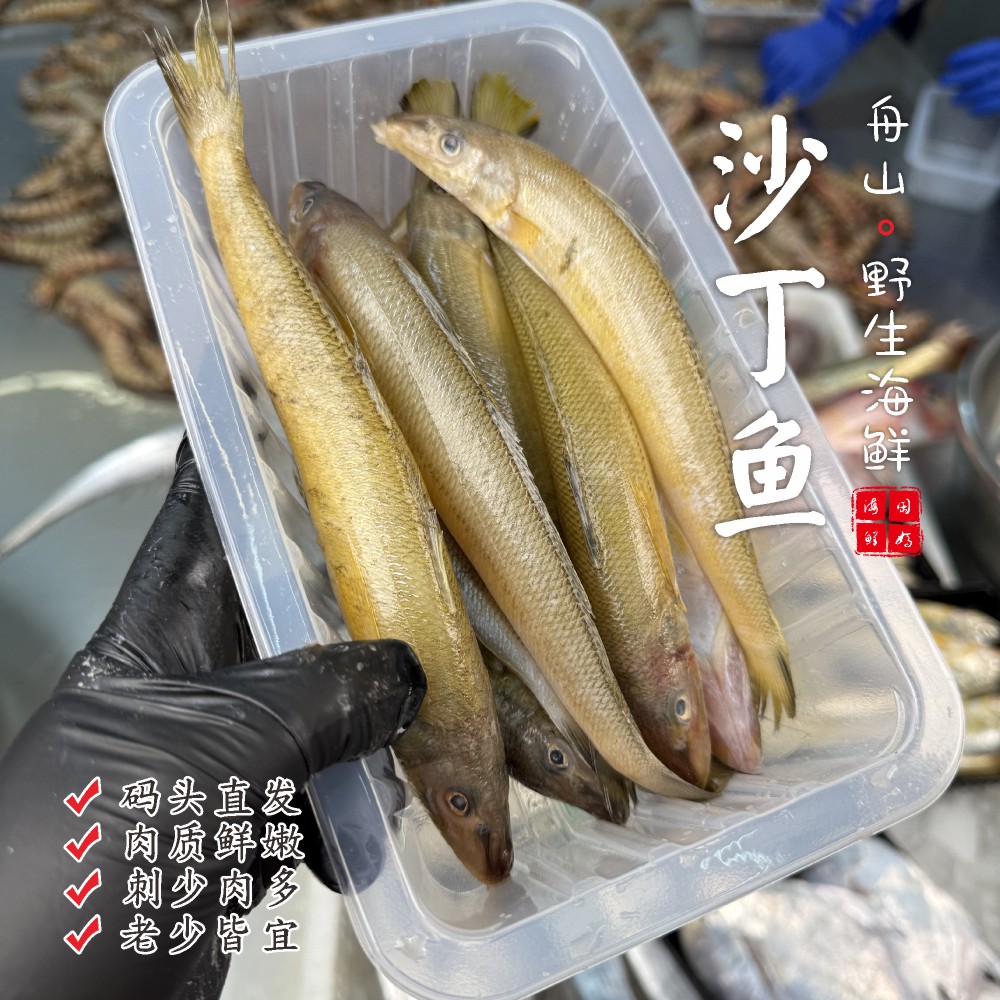 【闹妈海鲜】【热气】舟山黄沙丁鱼 各种规格 按斤卖