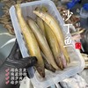 【闹妈海鲜】【热气】舟山黄沙丁鱼 各种规格 按斤卖 商品缩略图0