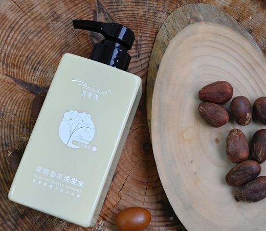 花寄语  柔顺香氛洗发水420ml 商品图1