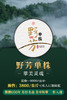 2025【野芳单株】野放古树茶，特别的普洱“妖”气！ 商品缩略图0